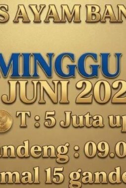 berita-rekomendasi-foto
