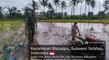 Dukung Ketahanan Pangan, Babinsa Bonto Rita Kodim 1410 Bantaeng Dan Petani Bersinergi Wujudkan Swasembada Pangan