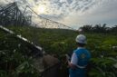 Dokumentasi Foto Istimewa PT PLN Persero Lakukan Perbaikan di Areal Dampak Cuaca Ekstrem 