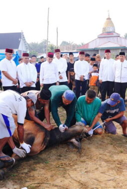 berita-rekomendasi-foto