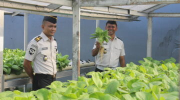 Dari Balik Tembok Pemasyarakatan, Tumbuh Sayuran dan Harapan untuk Masa Depan