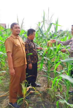 berita-rekomendasi-foto