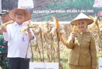 Dokumentasi Foto: Kegiatan Plt.Bupati Langkat Tiorita Br Surbakti di Kecamatan Sei Bingai 