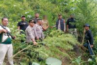 Dokumentasi Foto Kegiatan Polsek Kuala