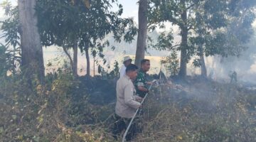 Gerak Cepat TNI-Polri dan Damkar Jinakkan Kebakaran Lahan Kebun di Mangngarabbe