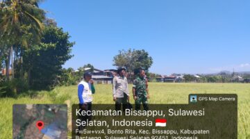Babinsa Bonto Rita Pantau Kondisi Tanaman Padi Terdampak Kekeringan