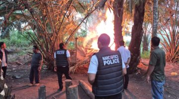 Gerak Cepat Polres Sergai, Gubuk Diduga Sarang Sabu Dibakar