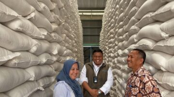 Bulog Karo Serap 1.586 Ton Gabah, Target 100 Persen Dikejar hingga Akhir Oktober