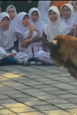 berita-rekomendasi-foto
