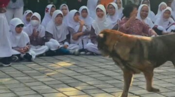 Keceriaan Siswa SLB Negeri Depok diacara Edukasi Satwa Korsabhara Polri*