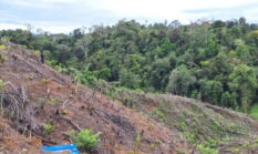 berita-pilihan-foto